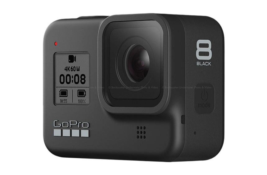 Go Pro